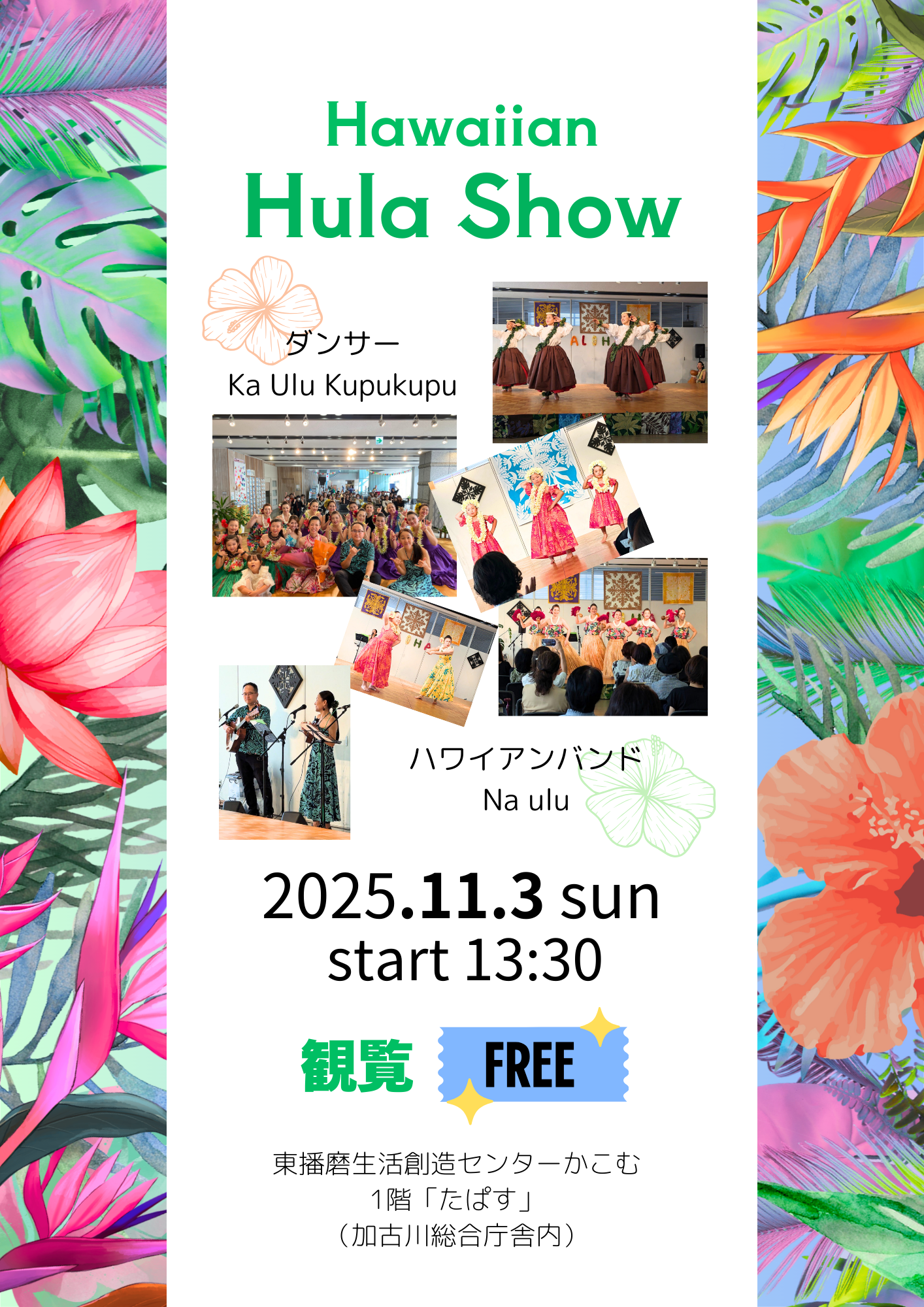 Hawaiian Hula Show
